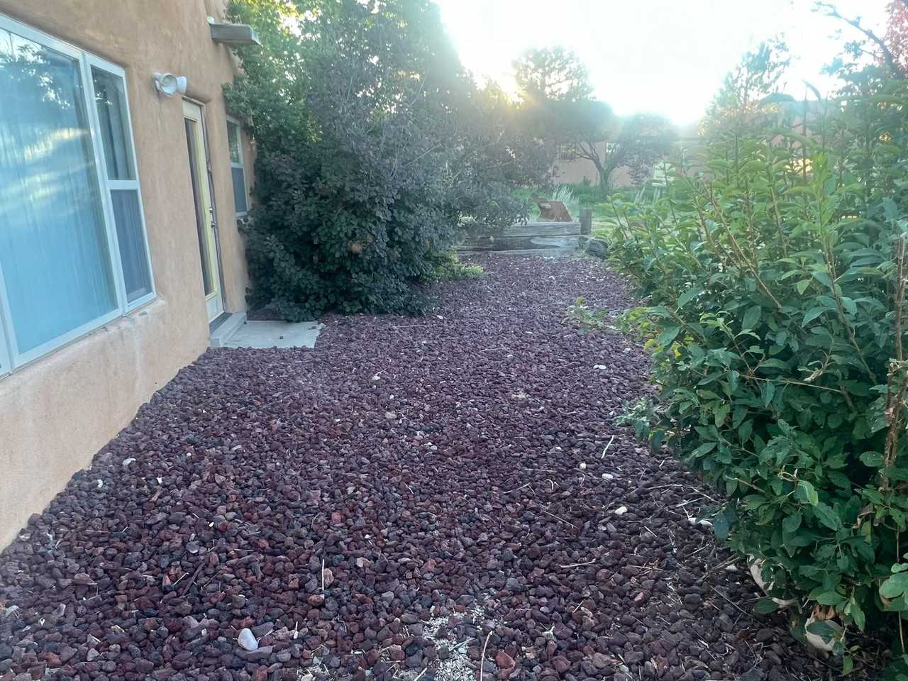 4537 Avenida Contenta - Photo 3 of 4