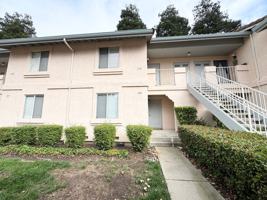 featured image of 342 Chris Cmn #109