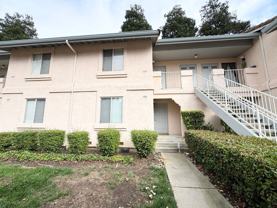 342 Chris Cmn #109 - Photo 1 of 1