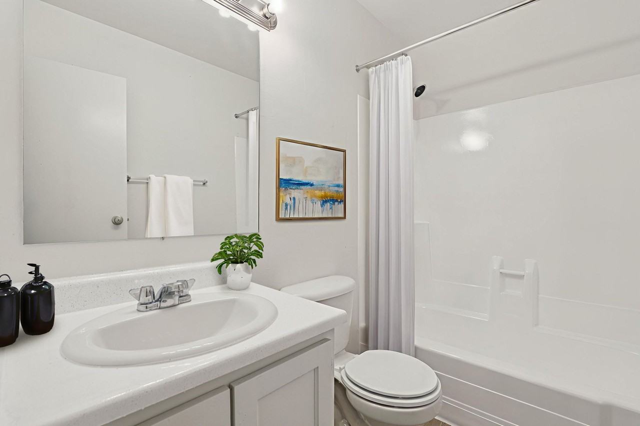 Summer Meadows - Photo 4 of 50