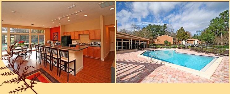 1810 Nw 23rd Blvd #115 - Photo 5 of 18