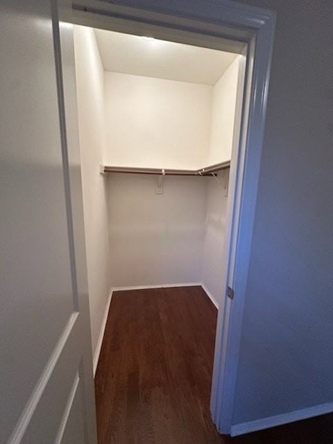 28427 Stoney Point Cove - Photo 4 of 4