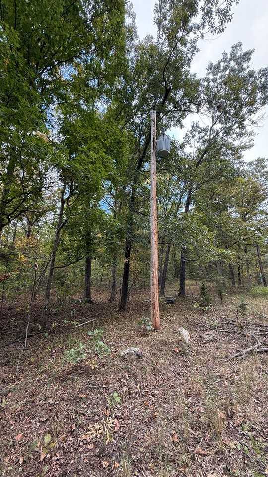 5267 Whittaker Rd - Photo 3 of 9