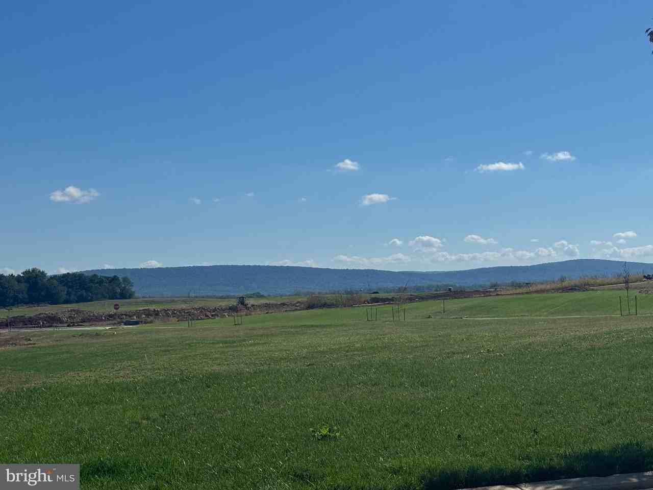 241 Atkinson St - Photo 3 of 50