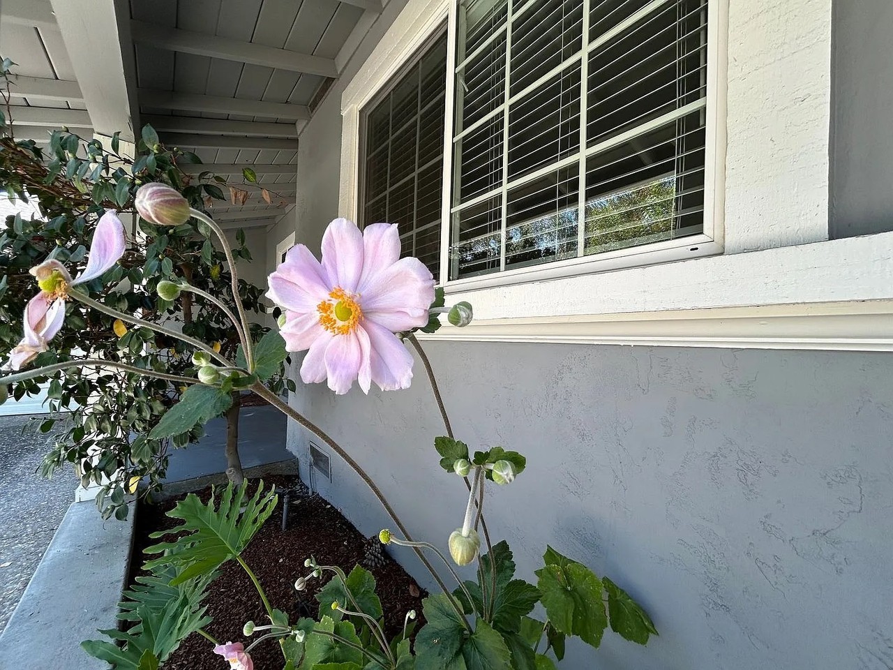 635 Rock Oak Rd - Photo 3 of 23