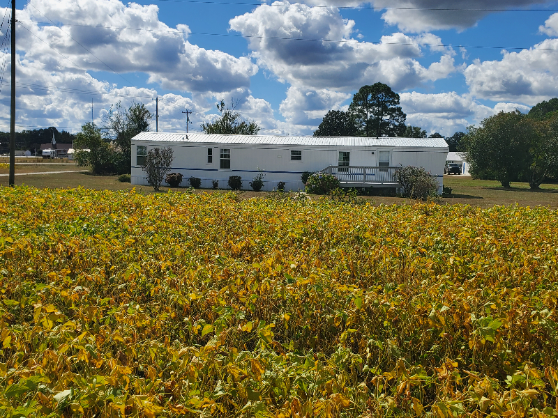 Goldsboro #2379CUS13N - Photo 2 of 14