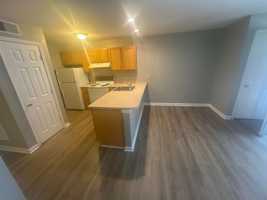 featured image of 113 Pine Tree Path