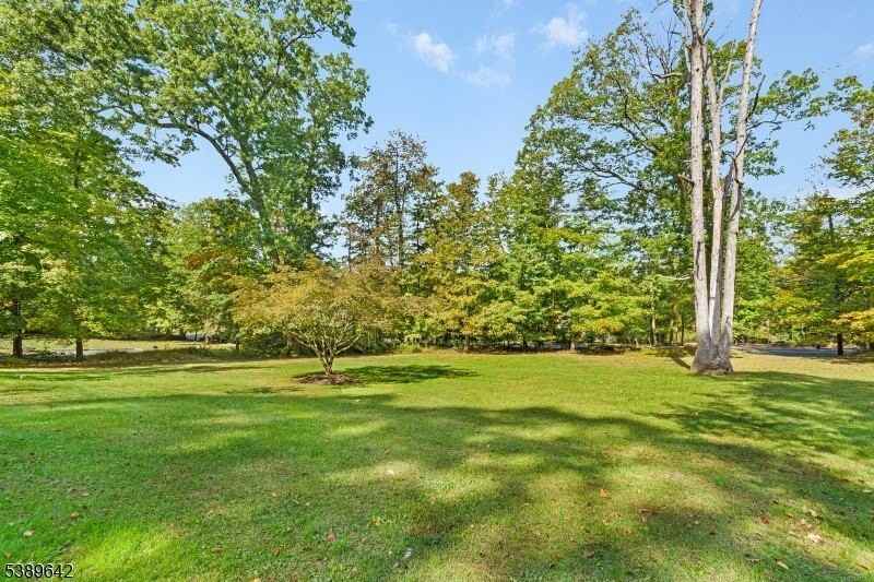 202 Mount Horeb Rd - Photo 3 of 23