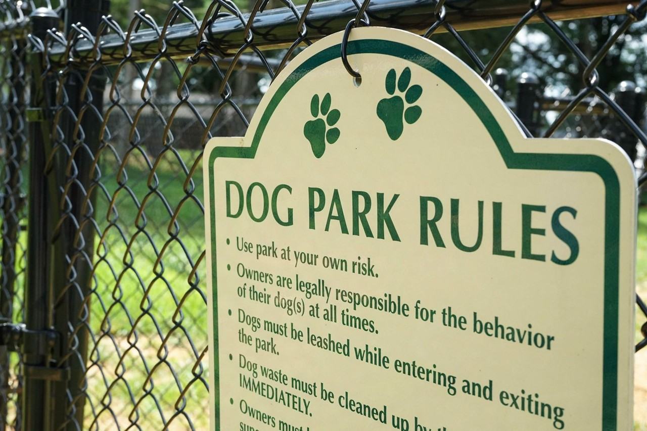 The Hammond Apartments - Photo 5 of 50