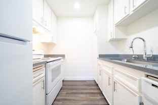 Your Vibrant New Home - Photo 1 of 1