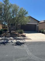 443 W Calle Del Estribo - Photo 1 of 1