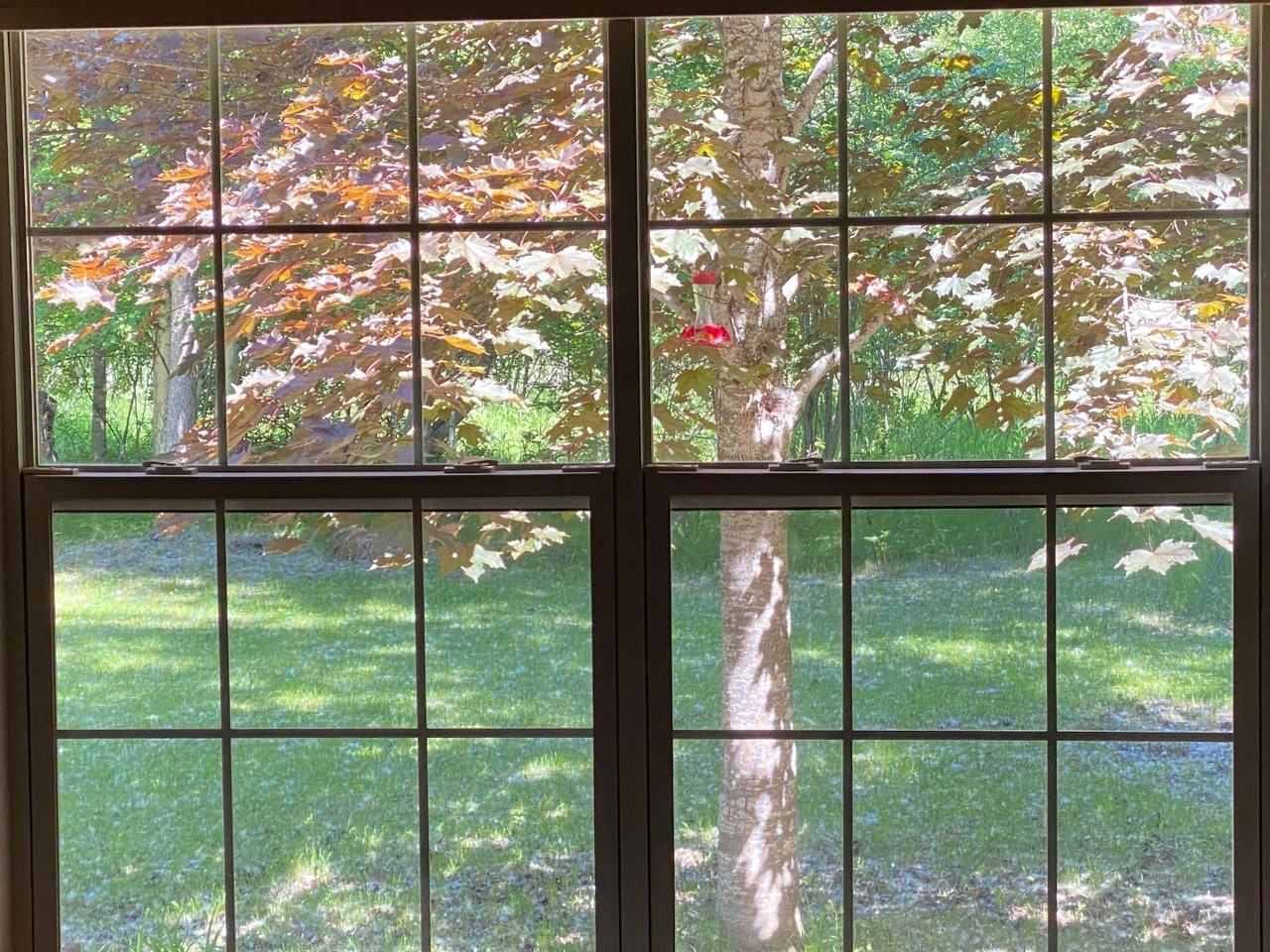 MT-WF-LACY - Photo 6 of 10