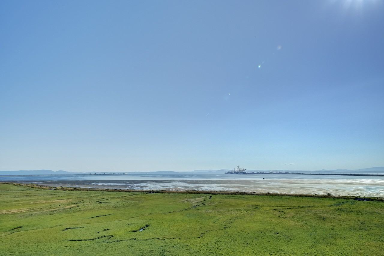 2431 Rabbit Drive #608 - Photo 4 of 24