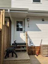 11936 47 St Nw Uppr G2 - Photo 1 of 1