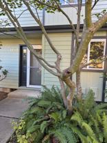 1615 Oak Patch Rd - Photo 1 of 1