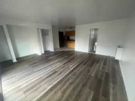 featured image of 505 Stuyvesant Ave