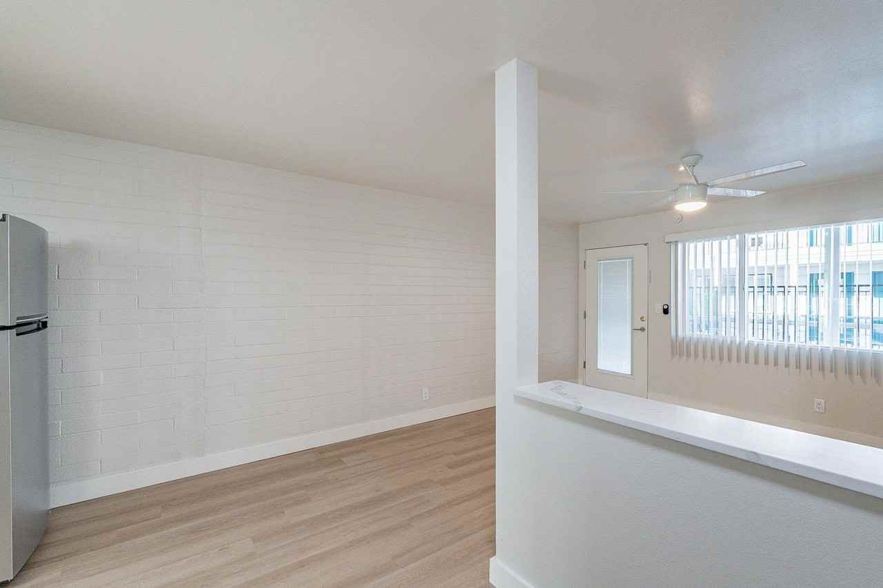 Beachcomber - Photo 5 of 50