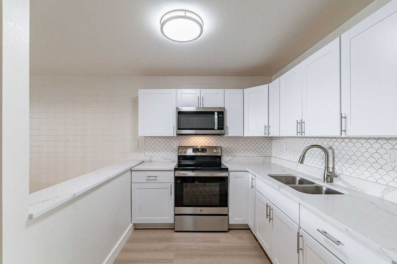 Beachcomber - Photo 7 of 50