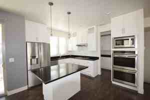 featured image of 4517 Daybreak Rim Way #1