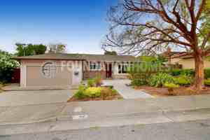 featured image of 599 Tamarack Dr