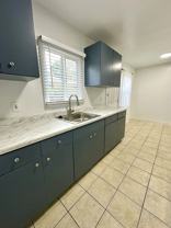 Daisy - Photo 1 of 1