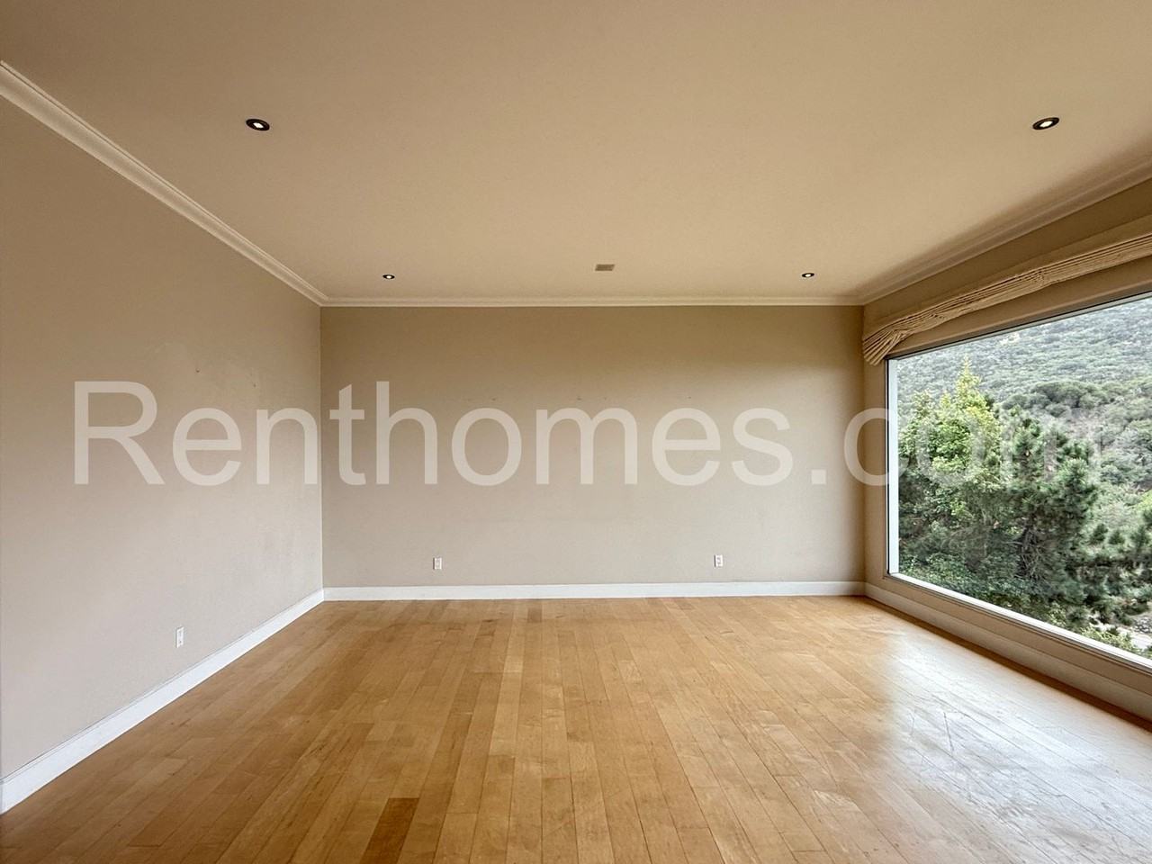 7648 Caminito Coromandel - Photo 5 of 50