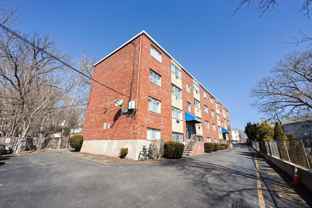 237 Cummins Highway - Photo 1 of 1