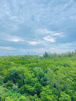 14951 Royal Oaks Ln #604 - Photo 1 of 1