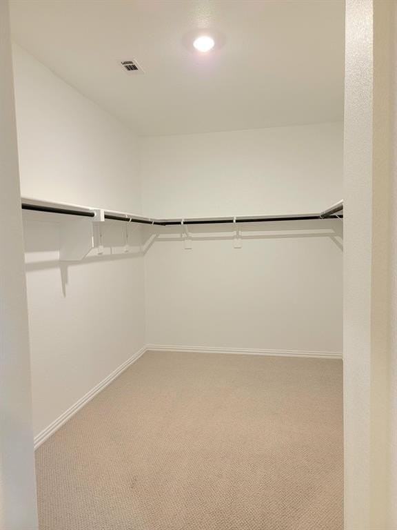 6628 Coyote Valley Trail - Photo 7 of 18