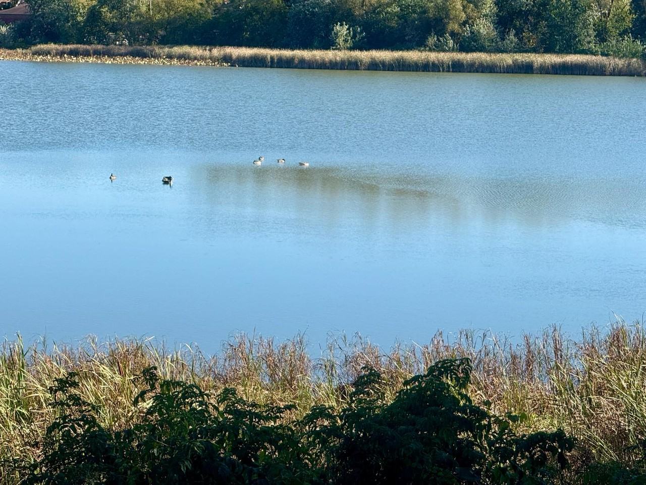 7217 Park Shores Ct - Photo 3 of 20