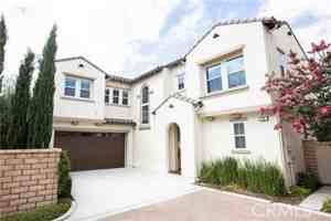 featured image of 56 Wild Rose