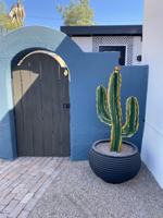 featured image of 1016 N Campbell Ave #2