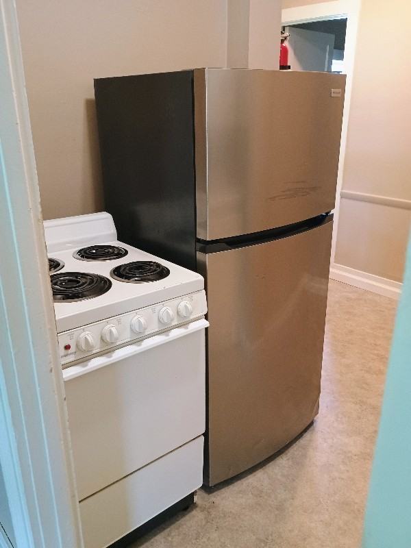 209 Chemung St #1 - Photo 3 of 5