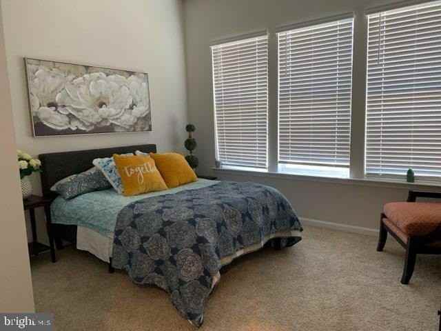 36599 Calm Water Drive - Photo 4 of 20