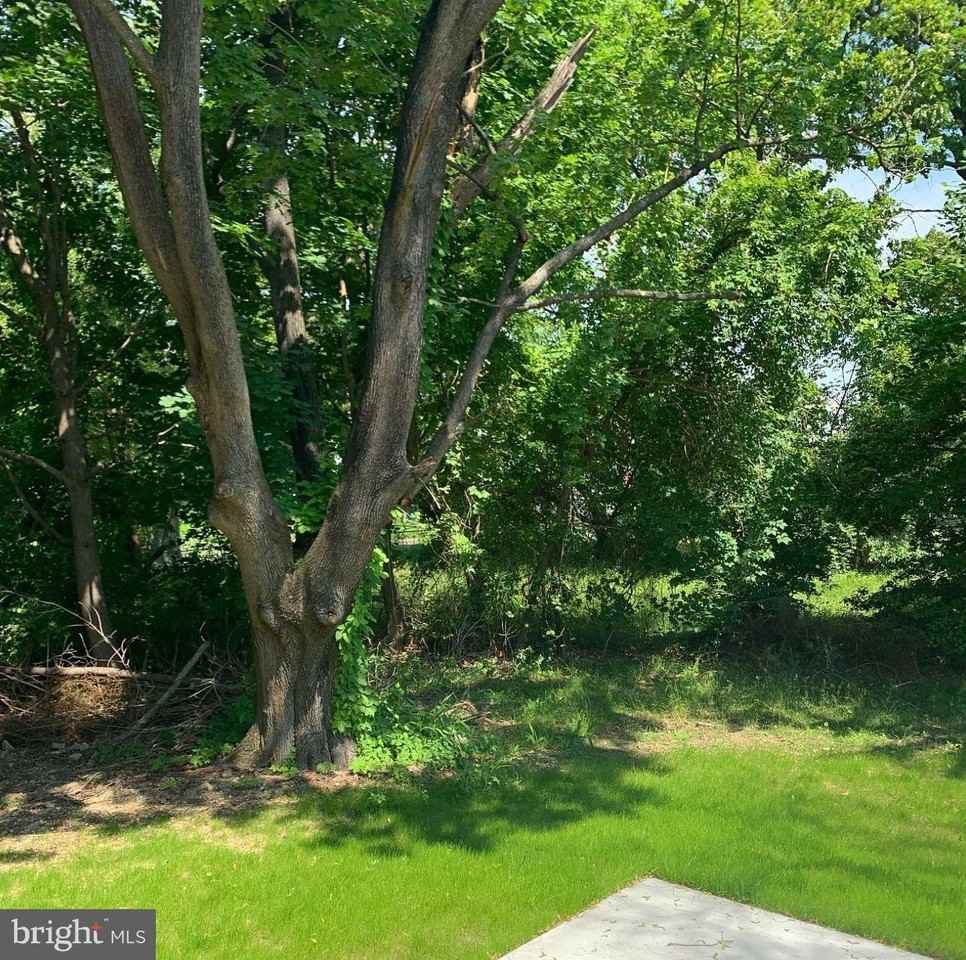 3 Cornell Road - Photo 3 of 20