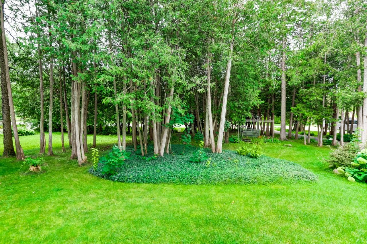 101 Miller Drive - Photo 2 of 50