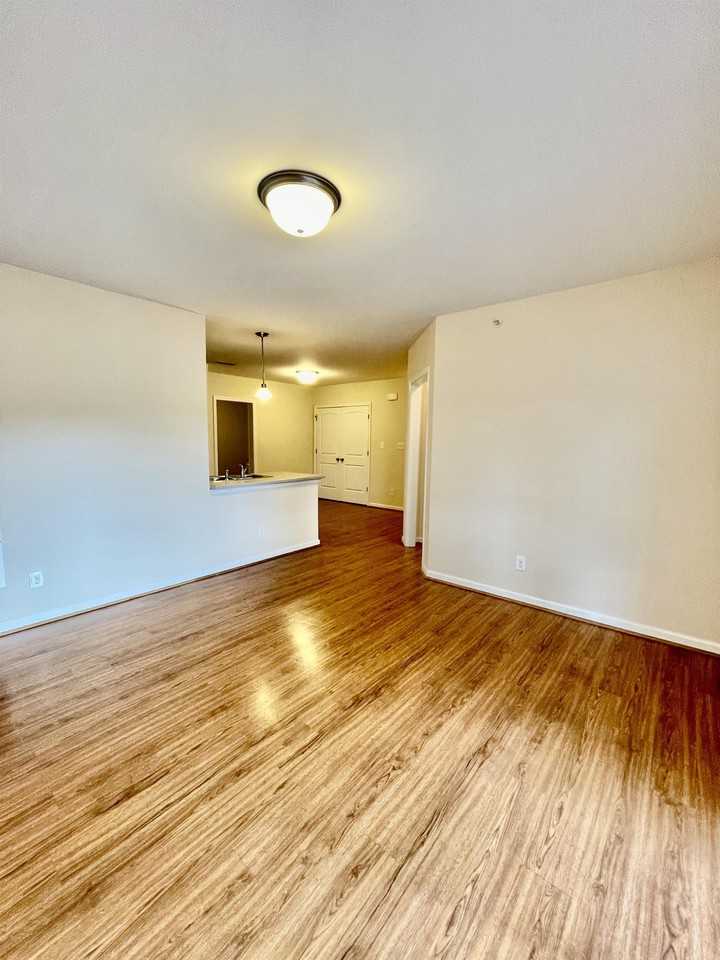 101 Colonnade Street - Photo 5 of 23