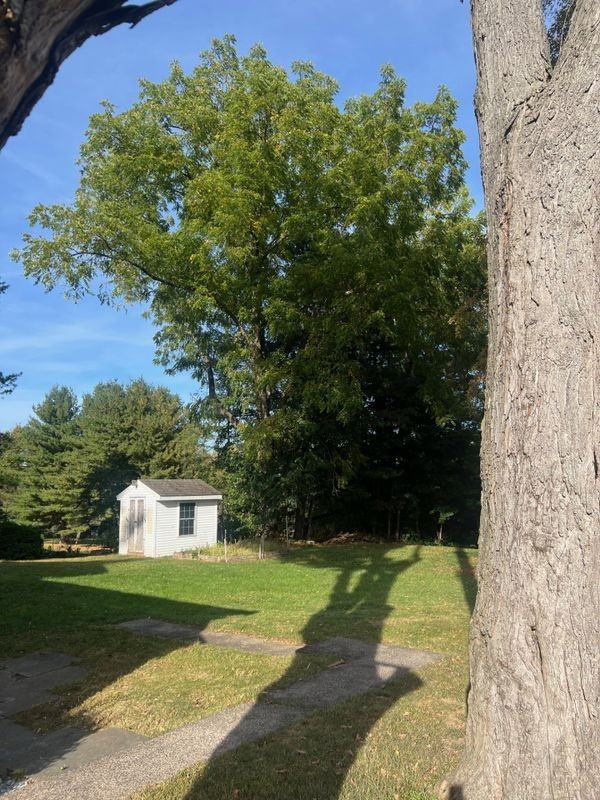 38 Cherry Ln - Photo 2 of 13