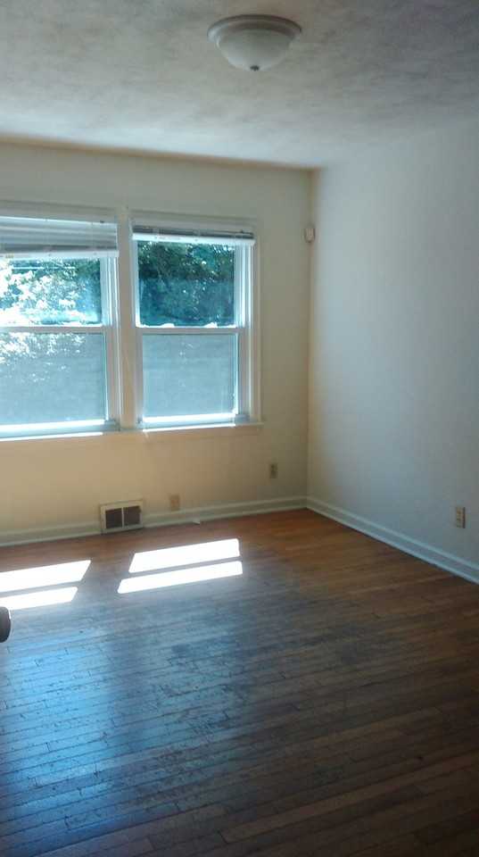 1043 S Mitchell St - Photo 3 of 13