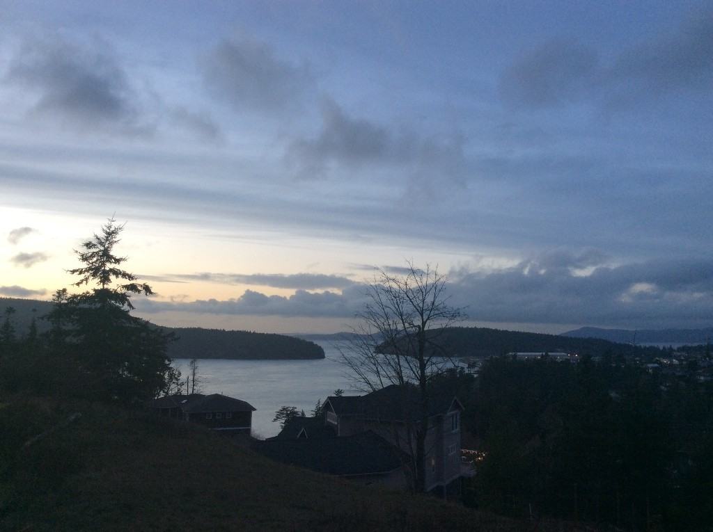 4214 Carol Ann Ct - Photo 2 of 9