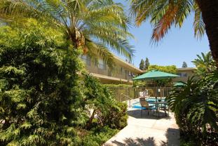 Palm Estates Apartments - Photo 1 of 1
