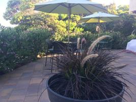 featured image of 1255 Yosemite St