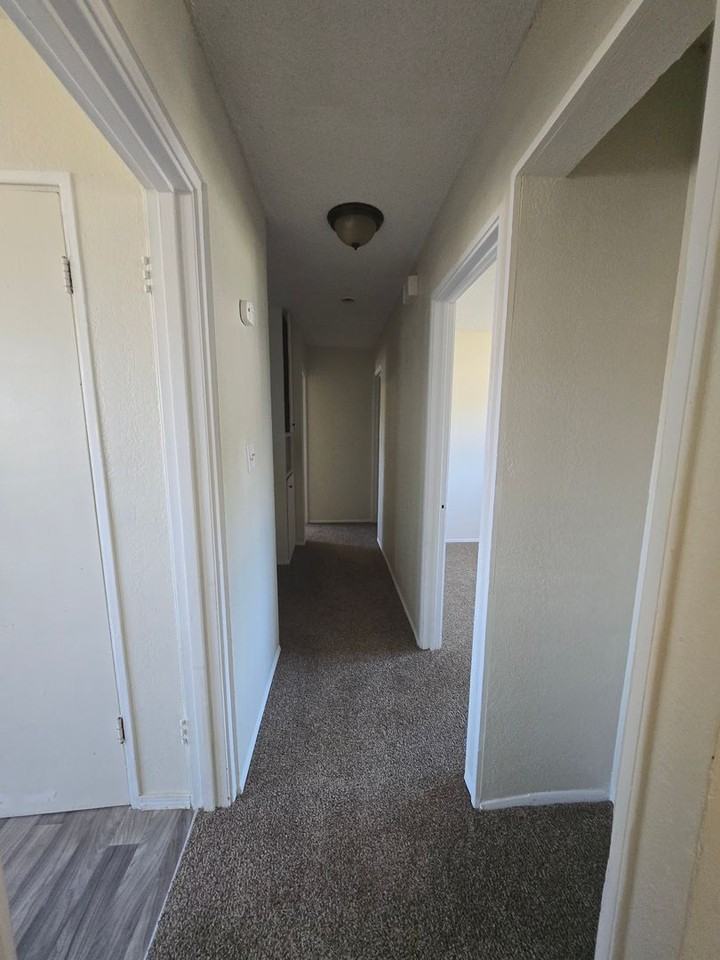 1019 South Michigan Avenue - Photo 5 of 17