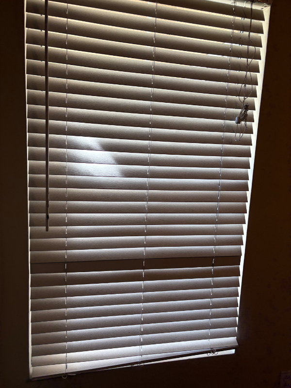 35887 Lourdes Dr - Photo 4 of 7