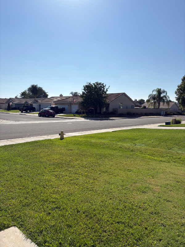 35887 Lourdes Dr - Photo 5 of 7