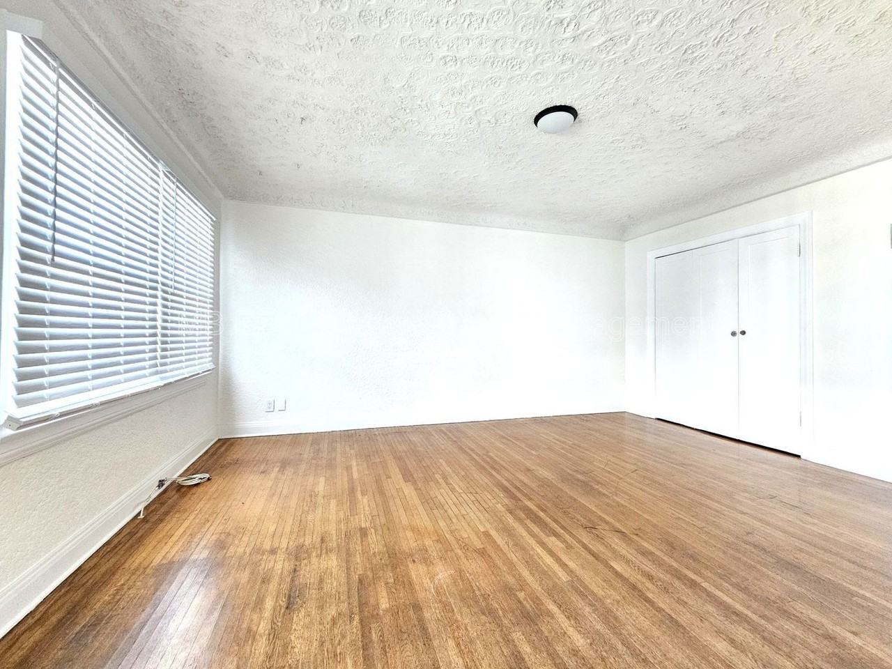 805 1/2 Oro Ter - Photo 3 of 12