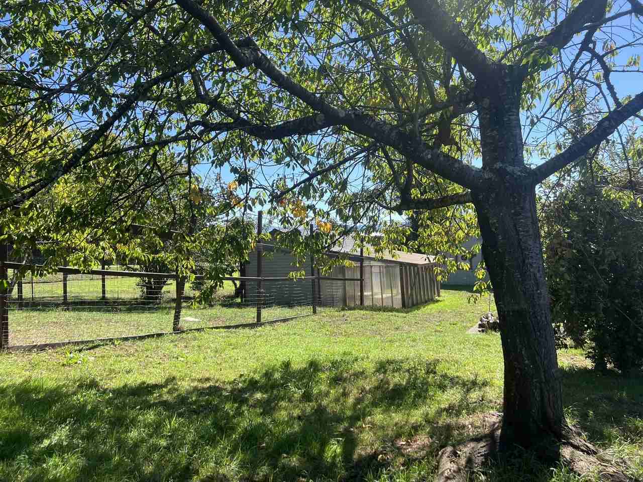 1809 Glendale Drive - Photo 6 of 22