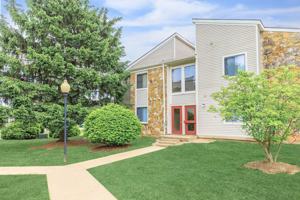 featured image of Peppermill Drive