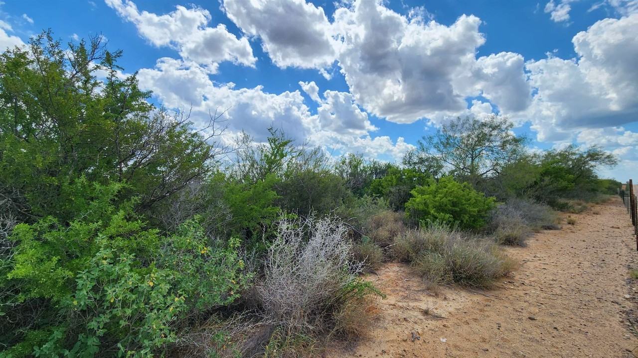 PT OF TRACT 29 La Moca Ranch - Photo 4 of 22