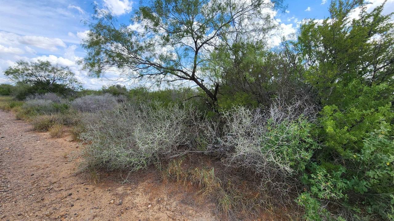 PT OF TRACT 29 La Moca Ranch - Photo 5 of 22